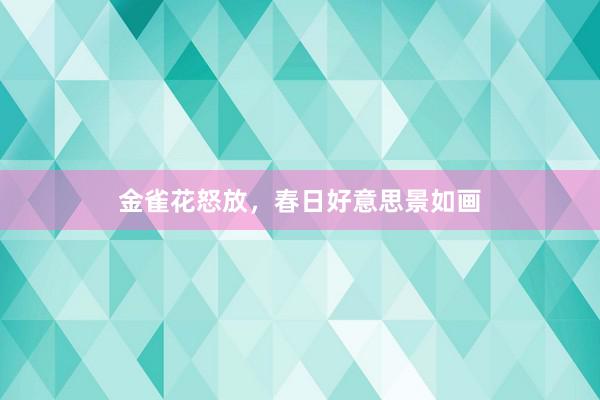 金雀花怒放，春日好意思景如画